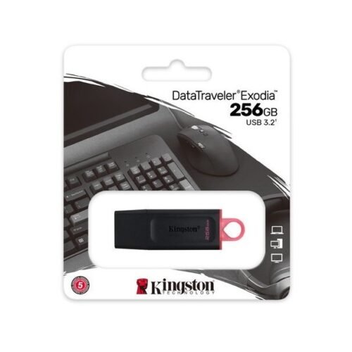 Kingston Memoria USB 256GB