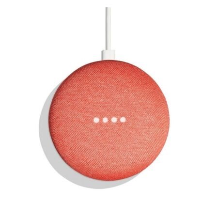 Google Home Mini Coral