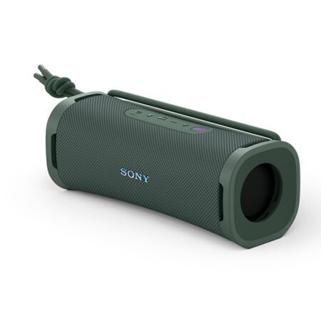 Sony Bocina 30W Bluetooth Forest Gray Ult Field 1 SRS-ULT10