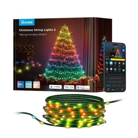 Govee Christmas String Lights 2 Matter Alexa Google