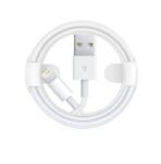 iPhone X Lightning to USB Cable 1m