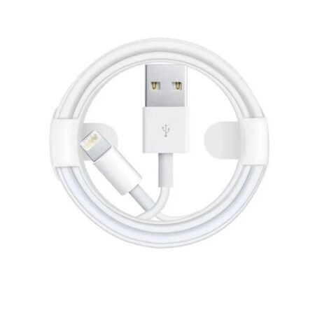 iPhone X Lightning to USB Cable 1m