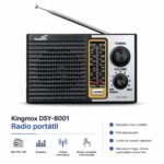 Radio FM/TV/AM/SW1/SW2 5 Band DSY-8001